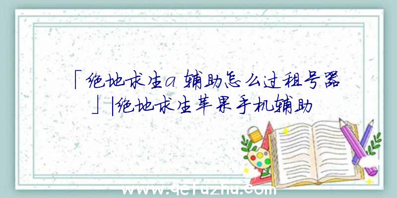 「绝地求生a